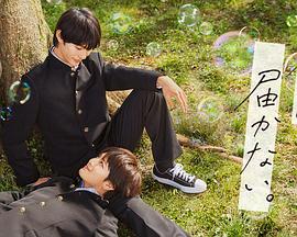 seo搜索优化hd云12速12捷dw